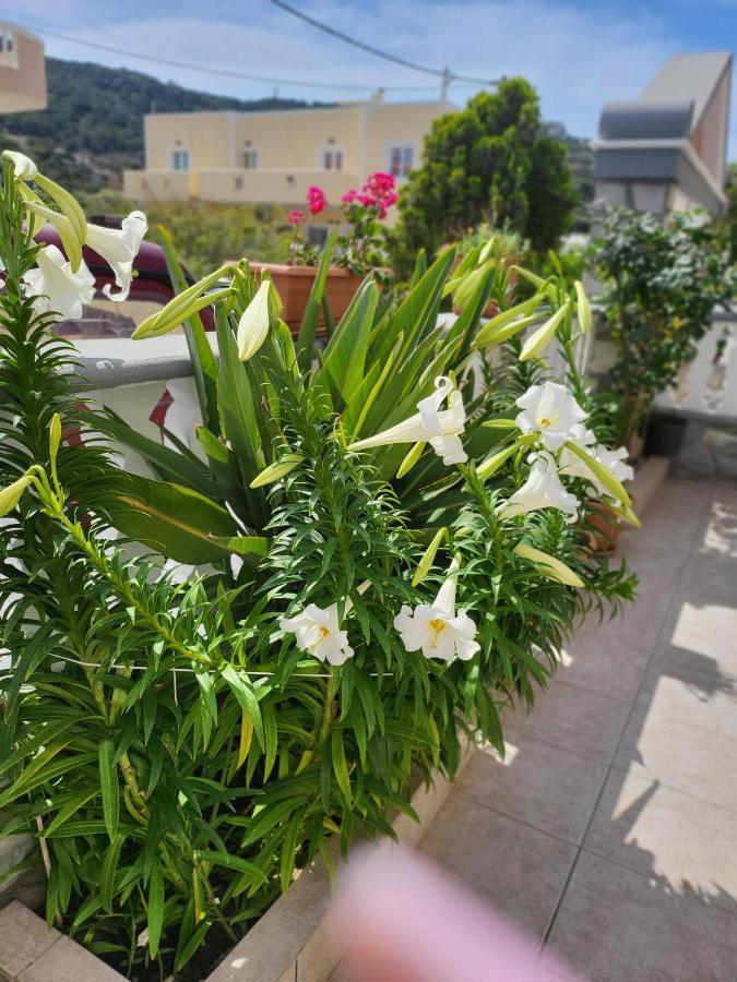 Apartament Roumeliotis House Karpatos Zewnętrze zdjęcie